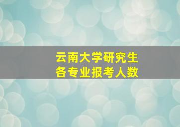 云南大学研究生各专业报考人数