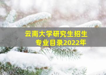 云南大学研究生招生专业目录2022年