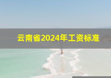 云南省2024年工资标准