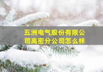 五洲电气股份有限公司高密分公司怎么样