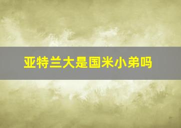 亚特兰大是国米小弟吗