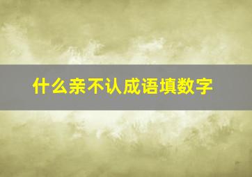 什么亲不认成语填数字