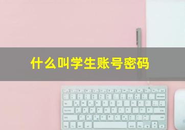 什么叫学生账号密码