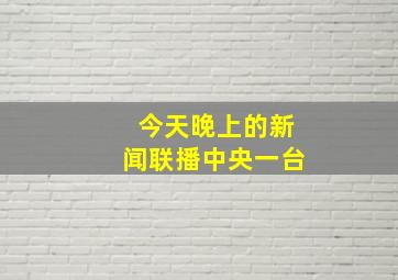 今天晚上的新闻联播中央一台