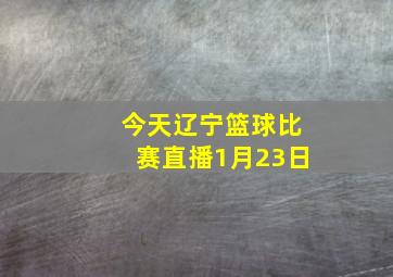 今天辽宁篮球比赛直播1月23日