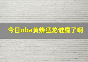 今日nba黄蜂猛龙谁赢了啊