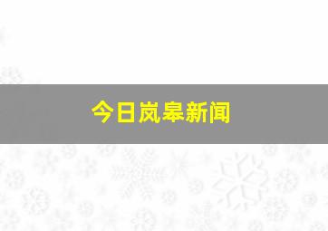 今日岚皋新闻