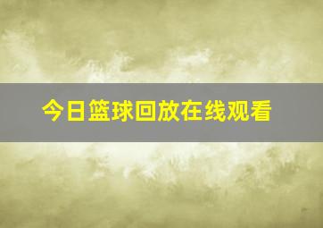 今日篮球回放在线观看