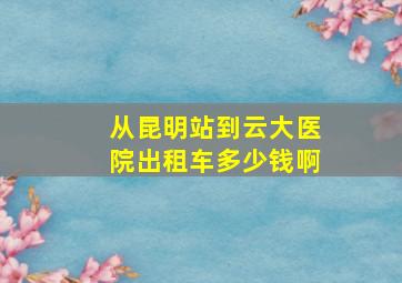 从昆明站到云大医院出租车多少钱啊