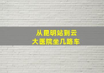 从昆明站到云大医院坐几路车