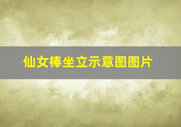 仙女棒坐立示意图图片