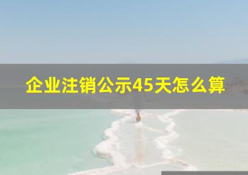 企业注销公示45天怎么算