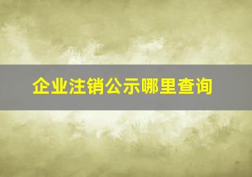 企业注销公示哪里查询