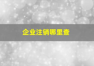 企业注销哪里查