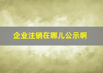 企业注销在哪儿公示啊