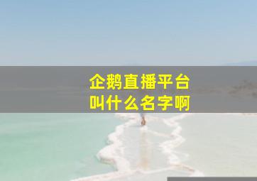 企鹅直播平台叫什么名字啊