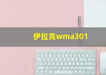 伊拉克wma301