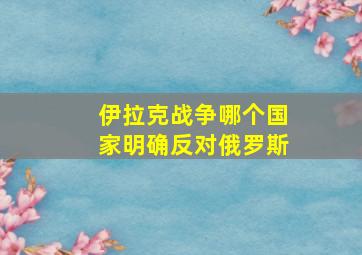 伊拉克战争哪个国家明确反对俄罗斯