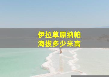 伊拉草原纳帕海拔多少米高