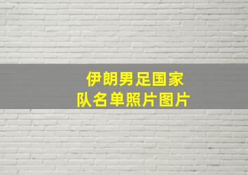 伊朗男足国家队名单照片图片