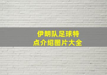 伊朗队足球特点介绍图片大全