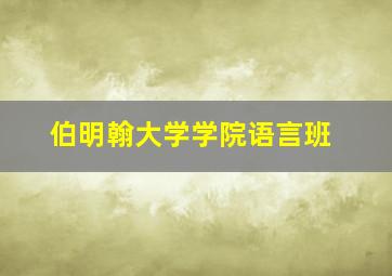 伯明翰大学学院语言班