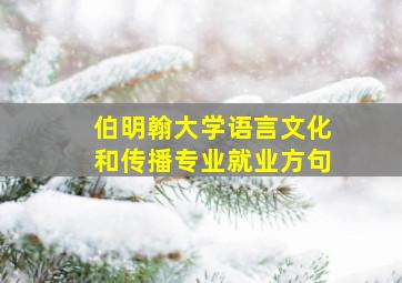 伯明翰大学语言文化和传播专业就业方句