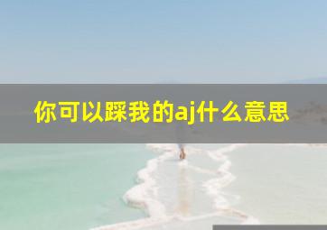 你可以踩我的aj什么意思