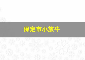 保定市小放牛