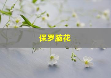 保罗脑花