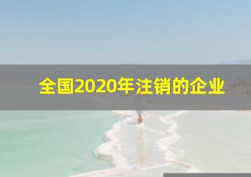 全国2020年注销的企业