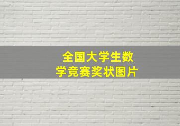 全国大学生数学竞赛奖状图片