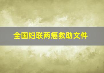 全国妇联两癌救助文件