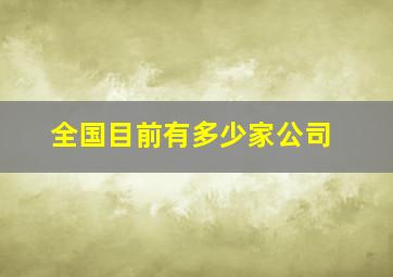 全国目前有多少家公司