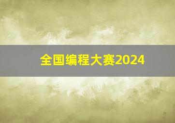 全国编程大赛2024