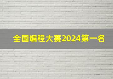 全国编程大赛2024第一名