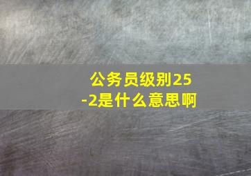 公务员级别25-2是什么意思啊