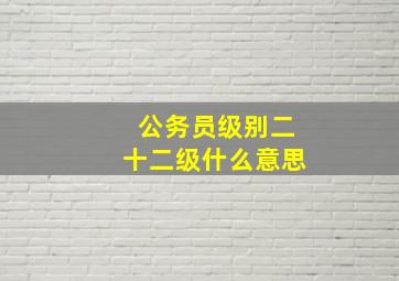 公务员级别二十二级什么意思