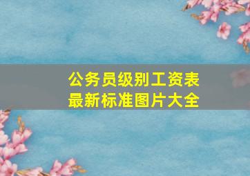 公务员级别工资表最新标准图片大全