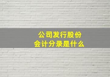 公司发行股份会计分录是什么