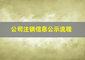 公司注销信息公示流程