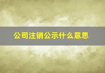 公司注销公示什么意思