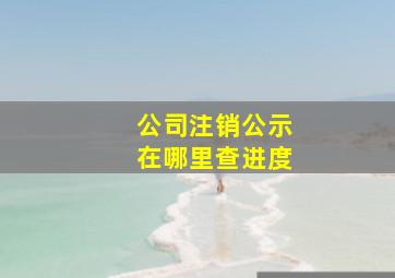 公司注销公示在哪里查进度