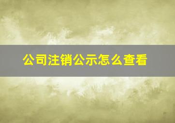 公司注销公示怎么查看