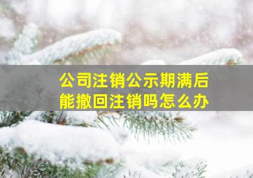 公司注销公示期满后能撤回注销吗怎么办