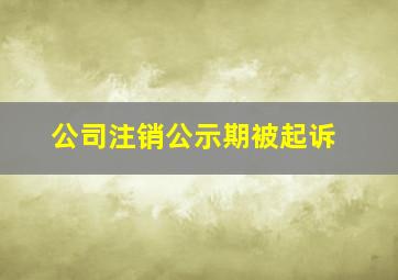 公司注销公示期被起诉