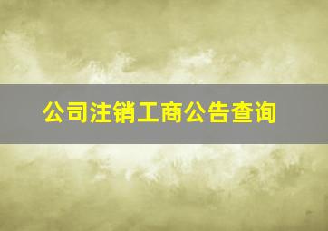 公司注销工商公告查询