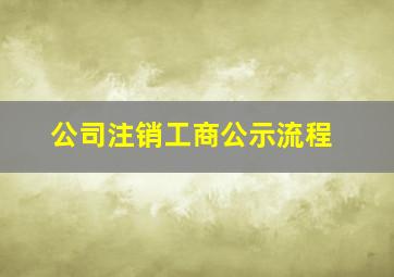 公司注销工商公示流程