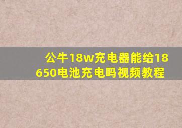 公牛18w充电器能给18650电池充电吗视频教程