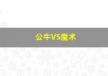 公牛VS魔术